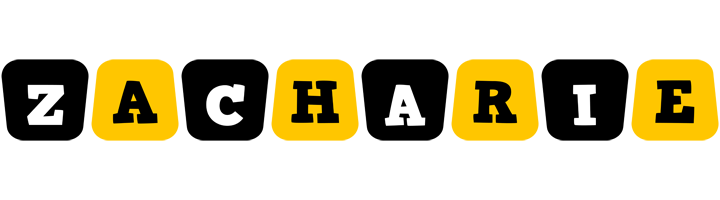 Zacharie boots logo