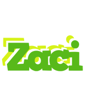 Zaci picnic logo