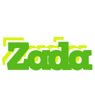 Zada picnic logo