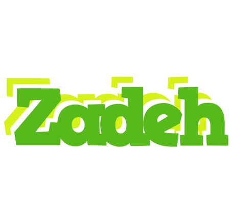 Zadeh picnic logo