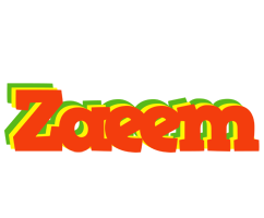 Zaeem bbq logo