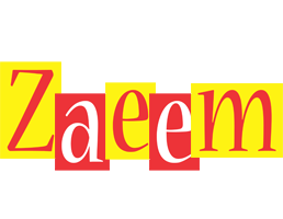 Zaeem errors logo