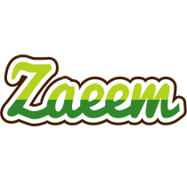 Zaeem golfing logo