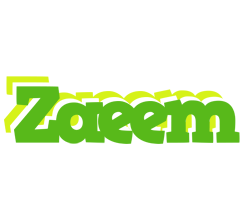 Zaeem picnic logo