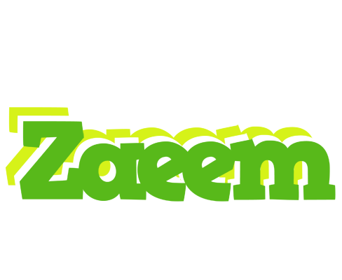 Zaeem picnic logo