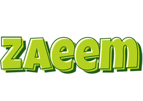 Zaeem summer logo