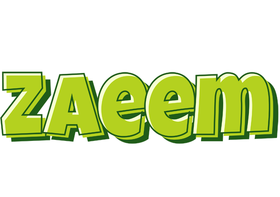 Zaeem summer logo
