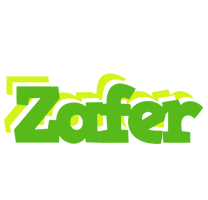 Zafer picnic logo