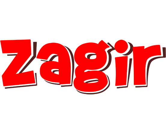 Zagir basket logo