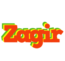 Zagir bbq logo