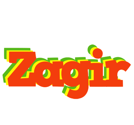 Zagir bbq logo