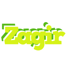 Zagir citrus logo