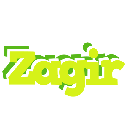 Zagir citrus logo