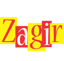 Zagir errors logo