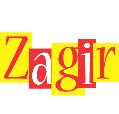 Zagir errors logo