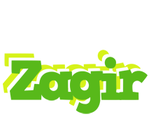 Zagir picnic logo