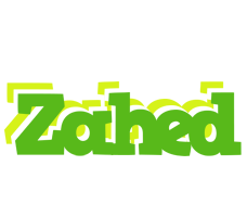 Zahed picnic logo