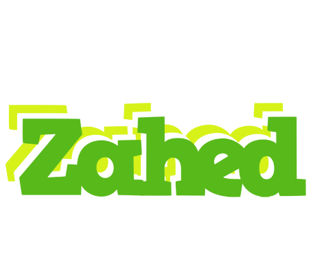 Zahed picnic logo