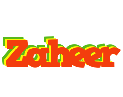 Zaheer bbq logo