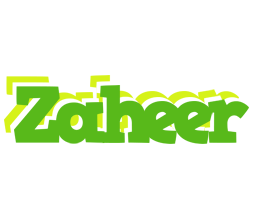 Zaheer picnic logo
