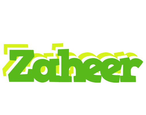 Zaheer picnic logo
