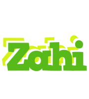 Zahi picnic logo