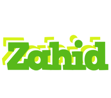 Zahid picnic logo