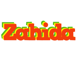 Zahida bbq logo