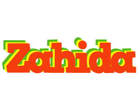 Zahida bbq logo