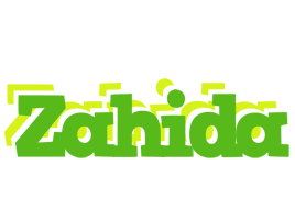 Zahida picnic logo