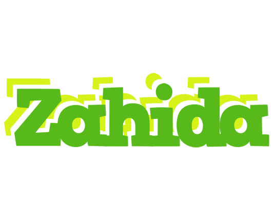 Zahida picnic logo