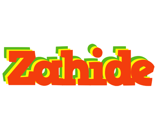 Zahide bbq logo