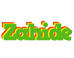 Zahide crocodile logo