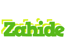 Zahide picnic logo