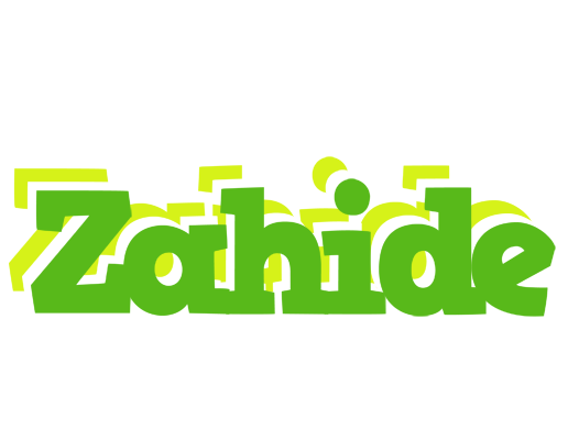 Zahide picnic logo