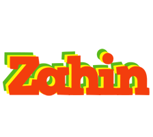 Zahin bbq logo