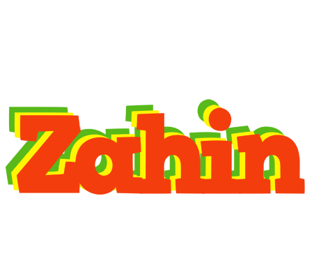 Zahin bbq logo