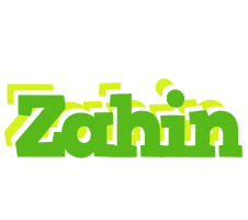 Zahin picnic logo