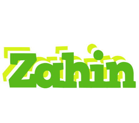 Zahin picnic logo