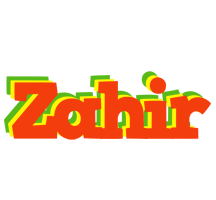 Zahir bbq logo