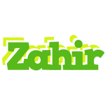 Zahir picnic logo