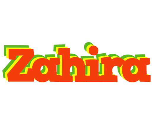 Zahira bbq logo
