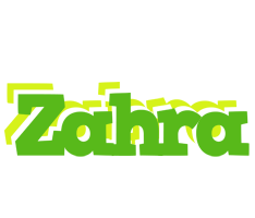 Zahra picnic logo