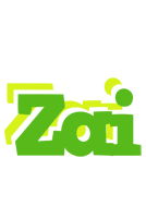 Zai picnic logo