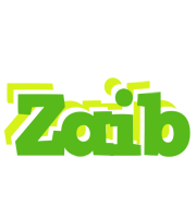 Zaib picnic logo