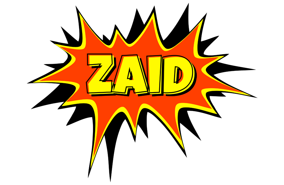 Zaid bazinga logo