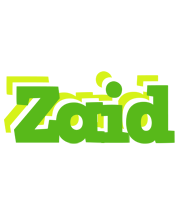 Zaid picnic logo