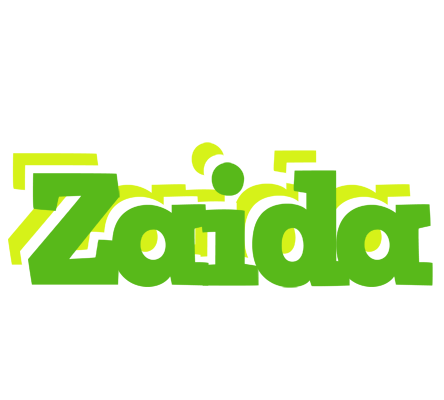 Zaida picnic logo