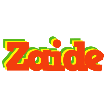 Zaide bbq logo