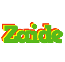 Zaide crocodile logo